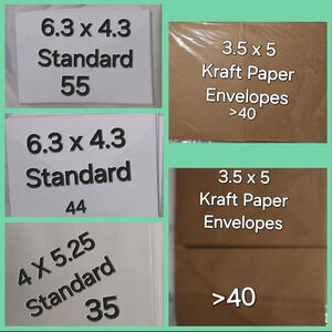 Over 200 Envelopes - Standard & Kraft Paper